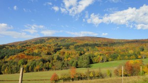 Wanderparadies Kreuzberg Kilianshof Rhön